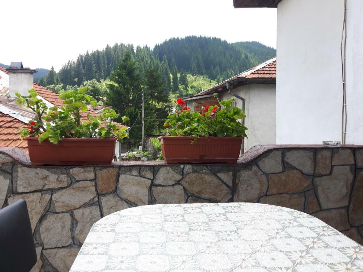 Guest House Denitsa 트리그라드 외부 사진